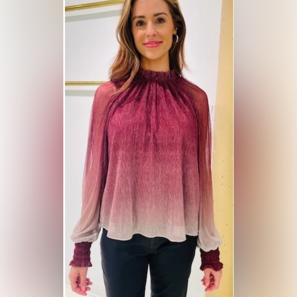 Willa Story Long Sleeve Blouse in Red/Burgundy and Silver, Size XS